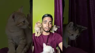 Thumbnail: jisko bhi ye cute bacche chahiye ho comment kardena 🙂❤️ || #shorts