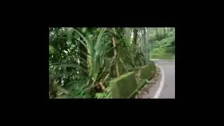 Thumbnail: On the vacation 💜 ❤️#automobile #darjeeling #adventure