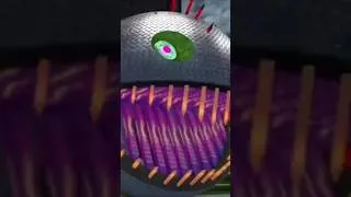 Thumbnail: The Impossible Escape… But He Made It! 🟡 Pac-Man Beast Mode 🔥
