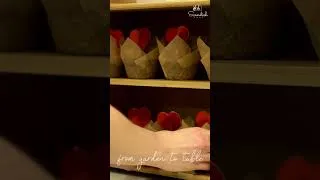Thumbnail: #short, clean with me, homemaking inspiration