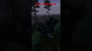 Thumbnail: DayZ Adventures: wolf attack #dayzencounters #dayz  #gaming  #armareforger #escapefromtarkov