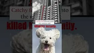 Thumbnail: A Series of Unfortunate Events