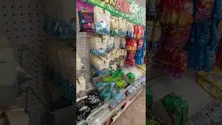 Thumbnail: Really Huge Dollar Tree Snack Zone 😋 Nuts Chips Ahoy! Oreos Ritz 🍟 ASMR Shopping Sounds #shorts
