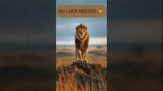 Thumbnail: Zero Luck Required 🛡 #schg06 #hustle #readyformonday #discipline #victory #sunday #evening