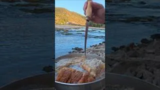 Thumbnail: Spinnfischen am Rhein bei Niedrigwasser  #angeln #fishing #catchandcook