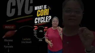 Thumbnail: WHAT IS CORI CYCLE ? 🧬