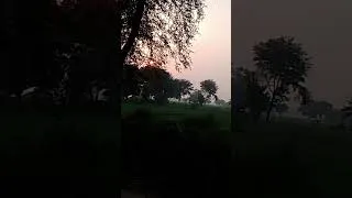Thumbnail: #evening #nature #naturalbeauty #natural #love