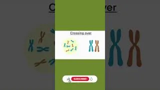 Thumbnail: Crossing Over | short video | Animation video