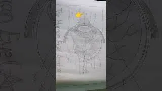 Thumbnail: Internal Structure of Human Eye 👁️ | Easy Explanation