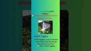 Thumbnail: "Emasculation in Plants  | Bagging & Tagging | Hybrid Seed Production"