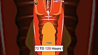 Thumbnail: How long can spermatozoa survive? #science #shorts