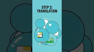 Thumbnail: The Central Dogma Explained in 2 Minutes: How DNA Makes YOU! | Grades 6-12