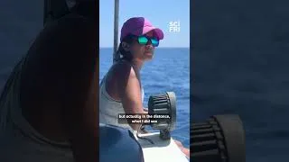 Thumbnail: Asha de Vos' journey from deckhand to marine science leader