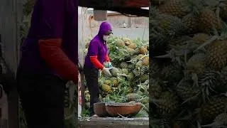 Thumbnail: Everyday moments from the streets of Hanoi #hanoiphotography #travel #cinematicvideo