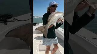 Thumbnail: the BIGGEST Redfish of My Life! #seafue 🐟 #redfish #fishing #shorts