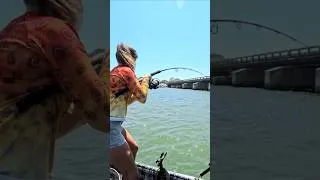 Thumbnail: Catchin them Bull Reds! #baitshopgirl #fishing #saltwaterfishing #bullred #uglystik