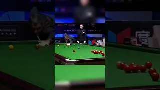 Thumbnail: Absolutely Beautiful Long Red!!! #snooker #snooker2025 #ronnieosullivan #billiards