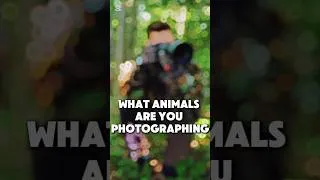 Thumbnail: #wildlifephotography 🐾