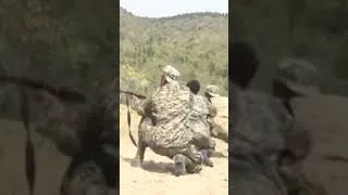 Thumbnail: UPDF Mountain Division pass out