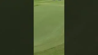 Thumbnail: Emily Pedersen | Hole in One | World Record | Solheim Cup 2023 #golf