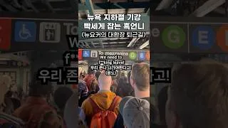 Thumbnail: 대혼돈의 뉴요커 퇴근길 지하철ㅋㅋㅋ