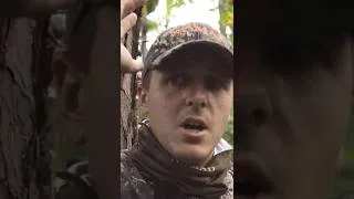 Thumbnail: 24 point urban buck with a bow! Lee's hunt for Thor.