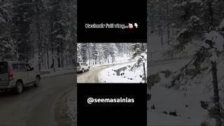 Thumbnail: Kashmir-full package of enjoyment 👉🏻♥️ #shorts #short #ytshorts #youtubeshorts #kashmir #snowfall