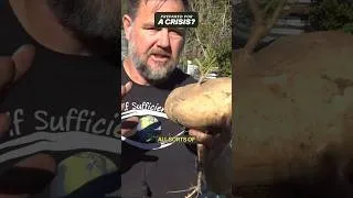 Thumbnail: What You Need to Grow in an Apocalyptic Situation