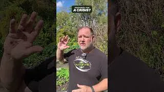 Thumbnail: Seed Collection for a crisis