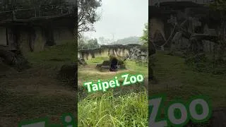 Thumbnail: 3x in Taiwan and I’ll keep coming back