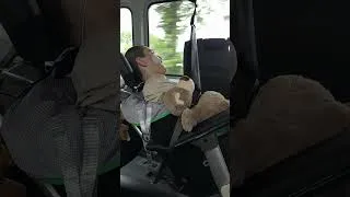 Thumbnail: It's time to visit the dentist🤴👨‍🔬❤️‍🩹 #care #specialneeds