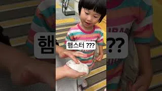 Thumbnail: 햄스터 만지고 싶어??!