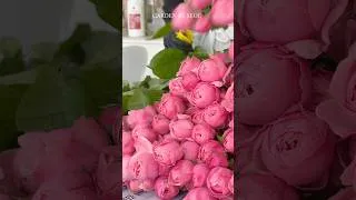 Thumbnail: 매일 쓰는 절화 수명 연장제 🌸 #flowerfood