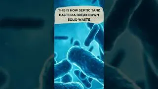 Thumbnail: This Is How Septic Tank Bacteria Break Down Solid Waste