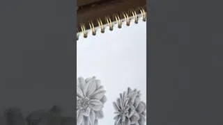 Thumbnail: Quick Sketch-Flower #shorts #drawing #pencildrawing #flowerdrawing #quicksketch #sketch #art