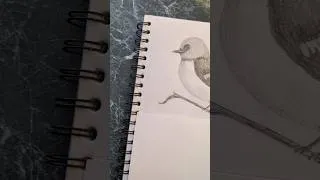 Thumbnail: Art Transition #shorts #drawing #pendrawing #transition #art #drawingshorts