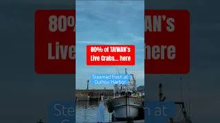Thumbnail: Taiwan’s Secret Sea-Crab Feast: 80% of Island’s Catch in One Harbor 🦀 #shorts