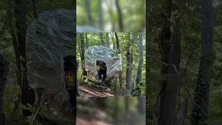 Thumbnail: Cozy tree house made of foil  #survival  #bushcraft #camp #creativesurvival