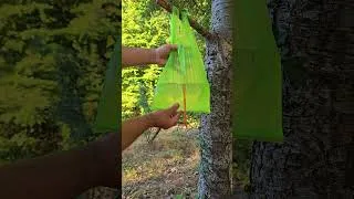 Thumbnail: Amazing Lifehacks Survival Skills #camping #outdoors #hack #adventure