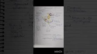 Thumbnail: Facial Nerve Extracranial Course Diagram!