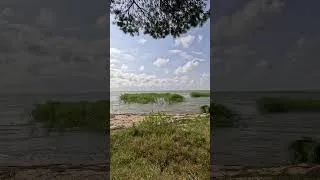 Thumbnail: The Forest and Beach on the Laguna of Nida, Lithuania