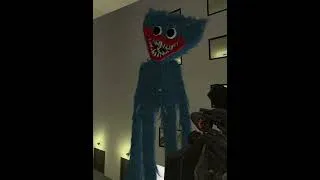 Thumbnail: Haggy Waggy is running away from me  #huggywuggy #gmod #character