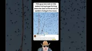 Thumbnail: This guy was out on the water trying to go fishing when he saw a literal net of spiders living in