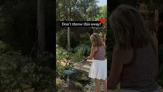 Thumbnail: Don’t throw this away!❤️  #birds #diy #pollinators  #shadedfromreality #upcycling
