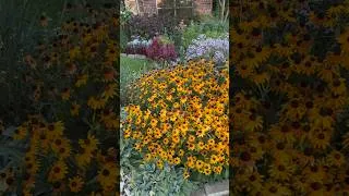 Thumbnail: Don’t Judge Your North Texas Garden at 2pm🪴 Read why in the first comment!