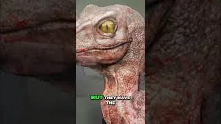 Thumbnail: What Happened to the Baby Raptor in Jurassic Park ? 🤔🦖 #dinosaur