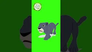 Thumbnail: dog run | dog sound effect | dog running green screen