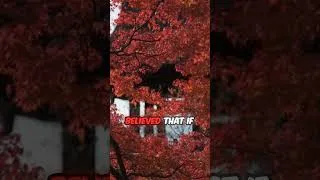 Thumbnail: Would You Survive The Jump? #shorts #