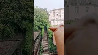 Thumbnail: Barish #rainsounds #shorts