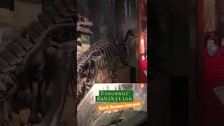 Thumbnail: Dinosaur Exhibition | World Museum Liverpool UK @shallwereadabook